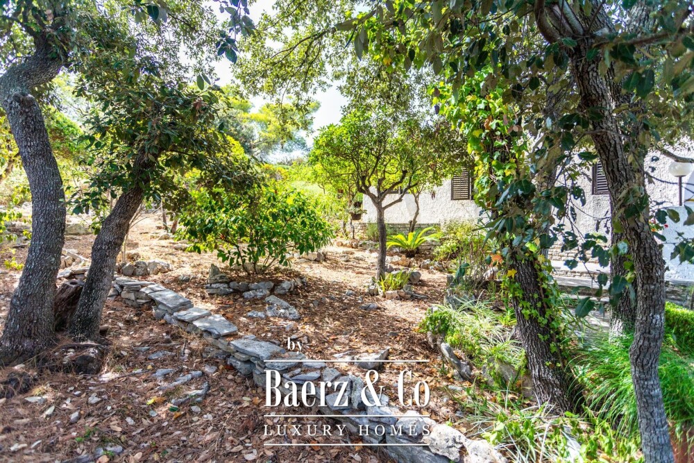 Foto 26 1000w