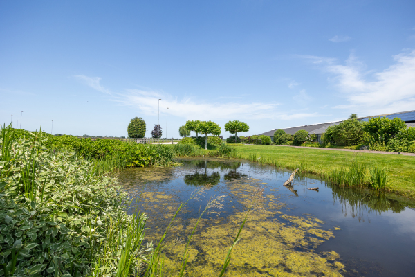 photo 34 Ruigenhoeksedijk 34